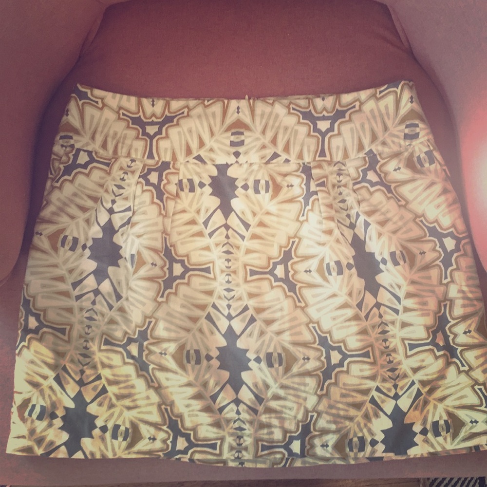 Banana Republic Skirt
